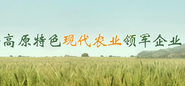 合作共贏(yíng)促發(fā)展 打造現(xiàn)代農(nóng)業(yè)領(lǐng)軍企業(yè)